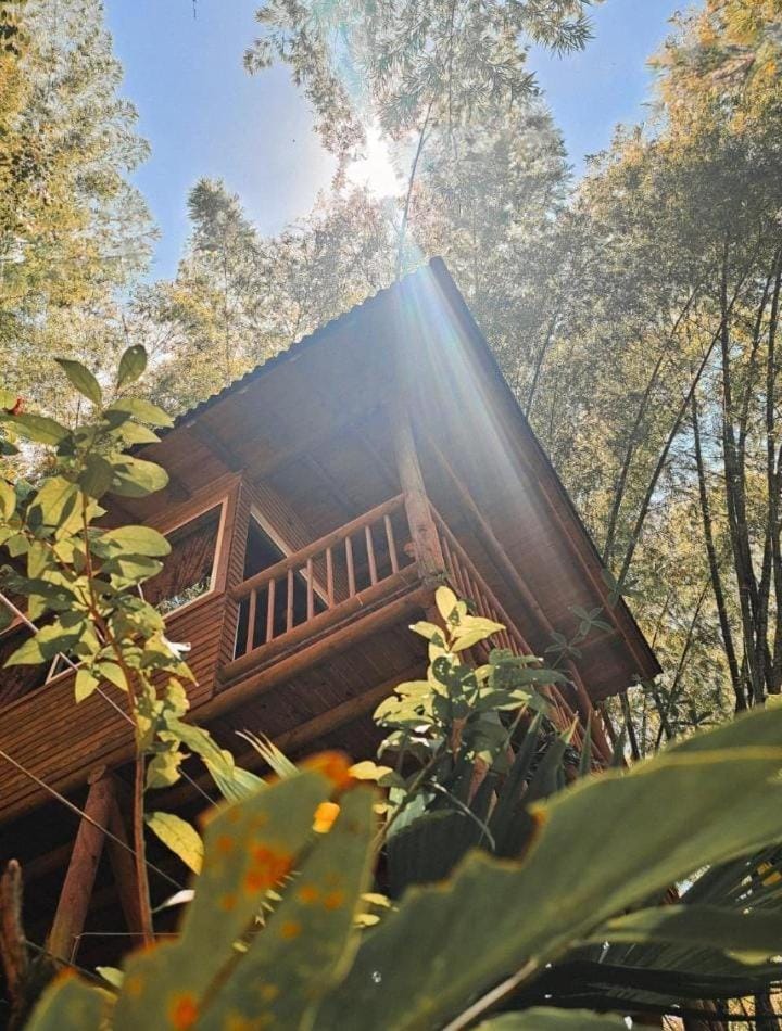 La Chorrera ecohotel Hotel in Antioquia
