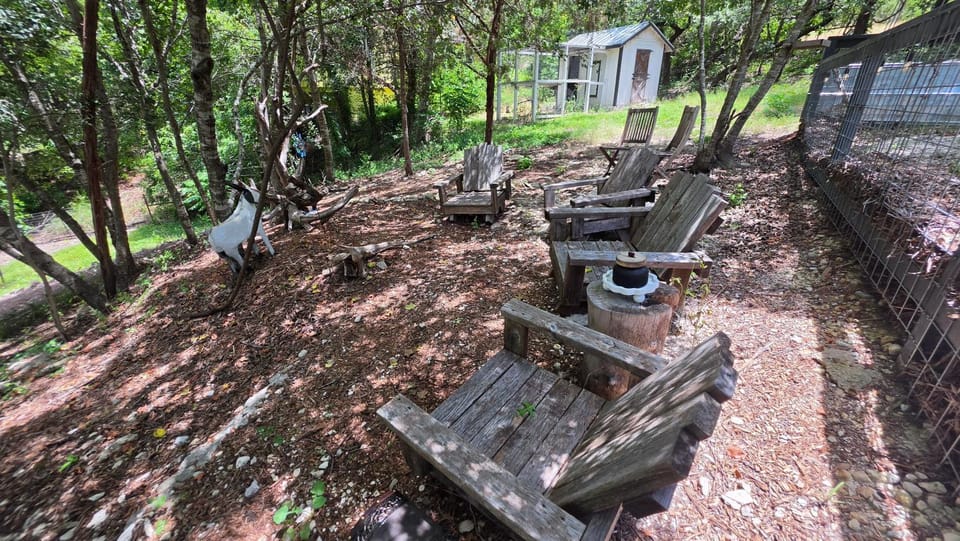 Miller Lodge Bed and Breakfast in Spring Branch