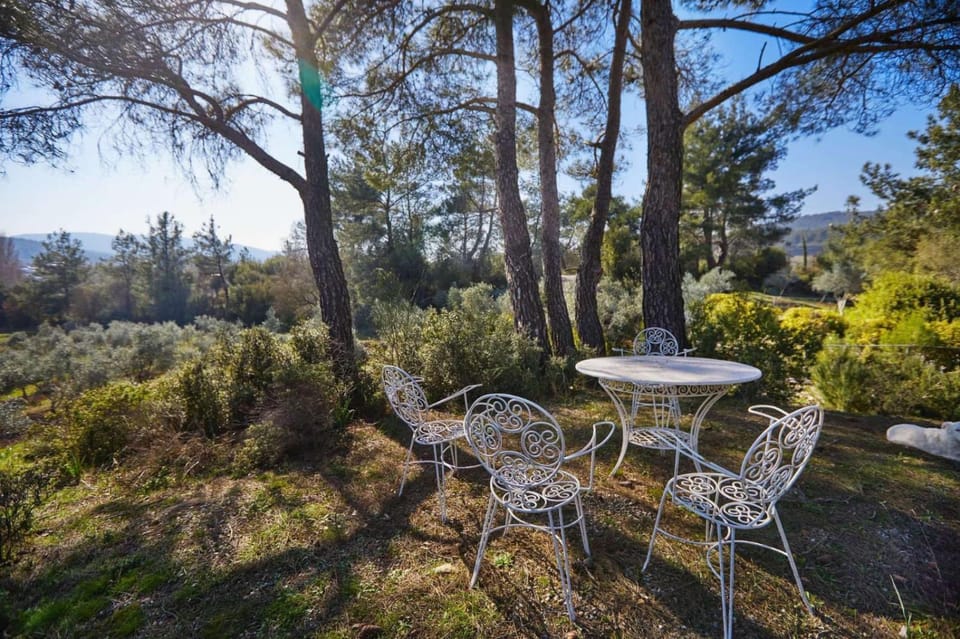 Spring, Day, Natural landscape, Garden, View (from property/room), Dining area, Garden view