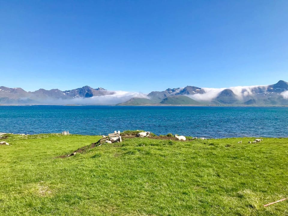Nearby landmark, Sea view