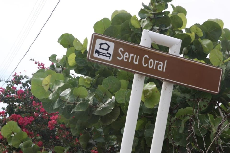 Melvyra Curacao Bungalow 28 Campground/ 
RV Resort in Willemstad
