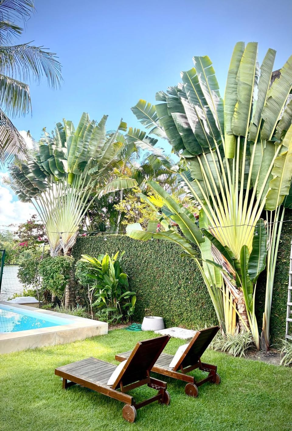 Garden, Swimming pool