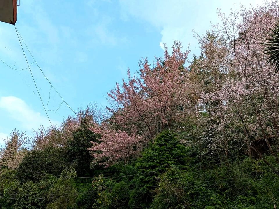 Spring, Natural landscape