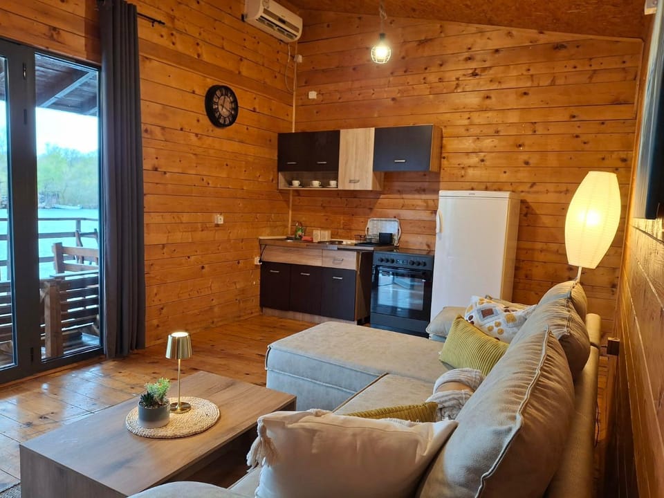 Living room, kitchen, air conditioner