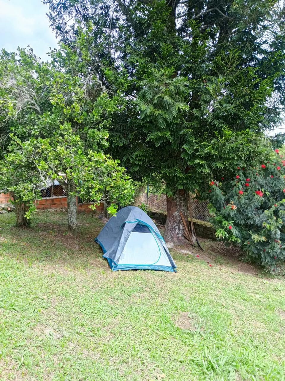 Ecocamping oasis Campground/ 
RV Resort in San Francisco