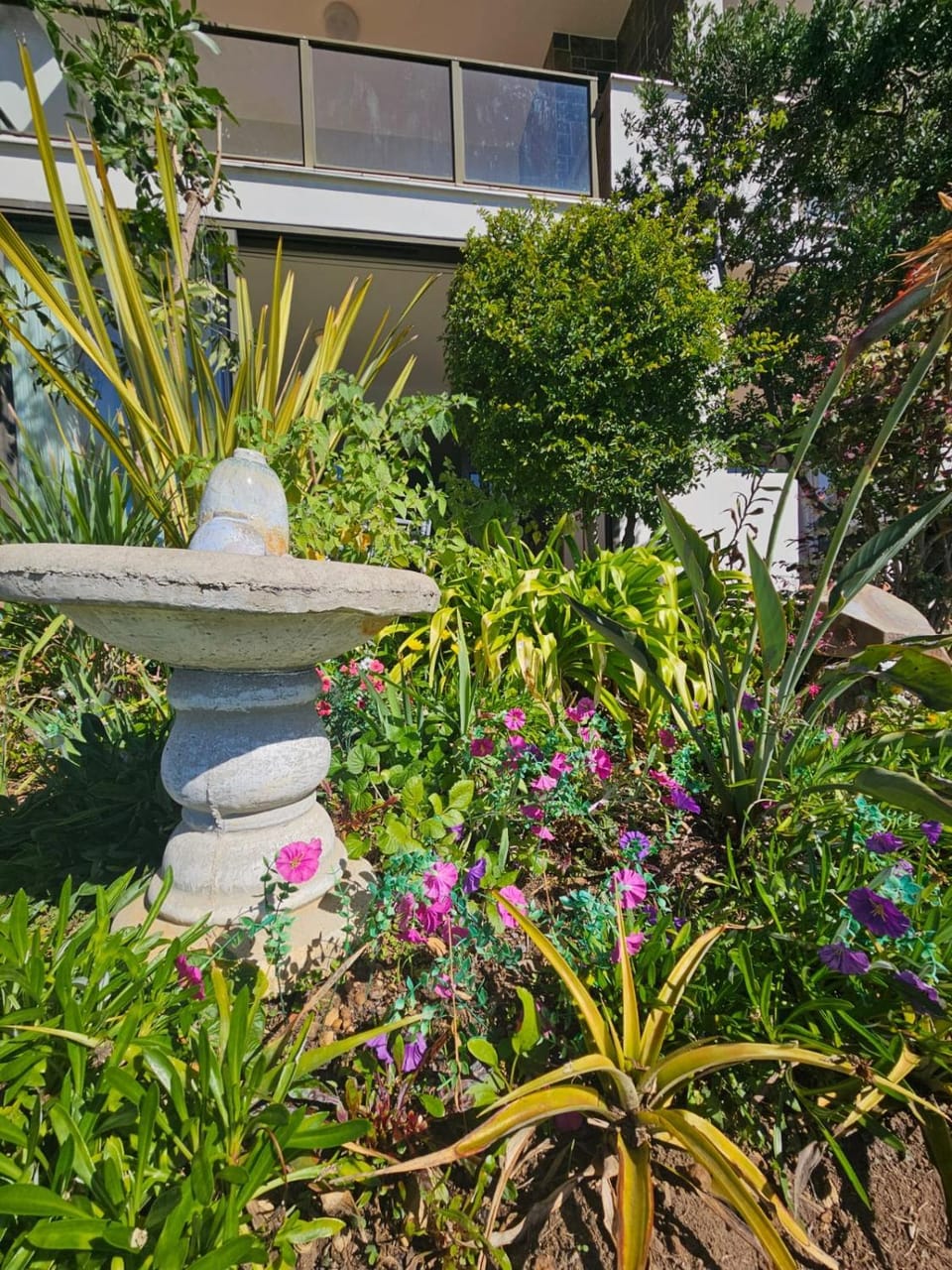 Garden view