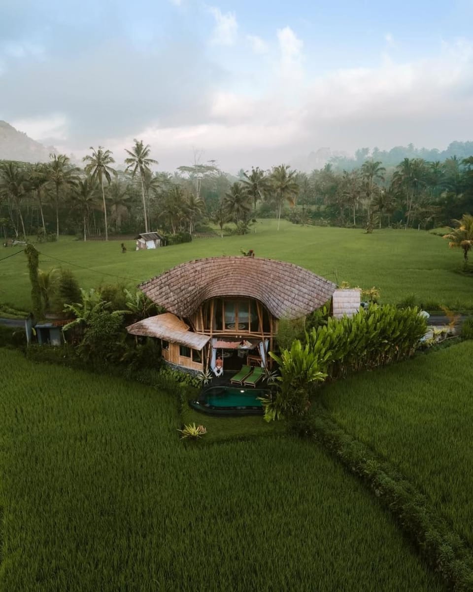 Property building, Natural landscape, Swimming pool