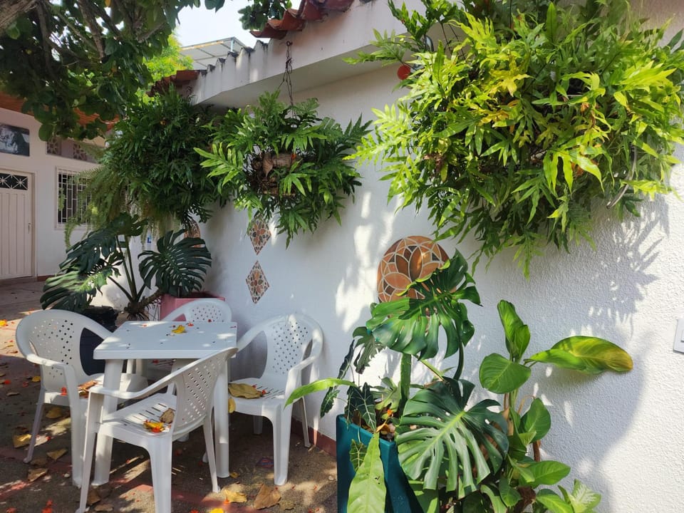 Patio, Day, Garden, Garden view
