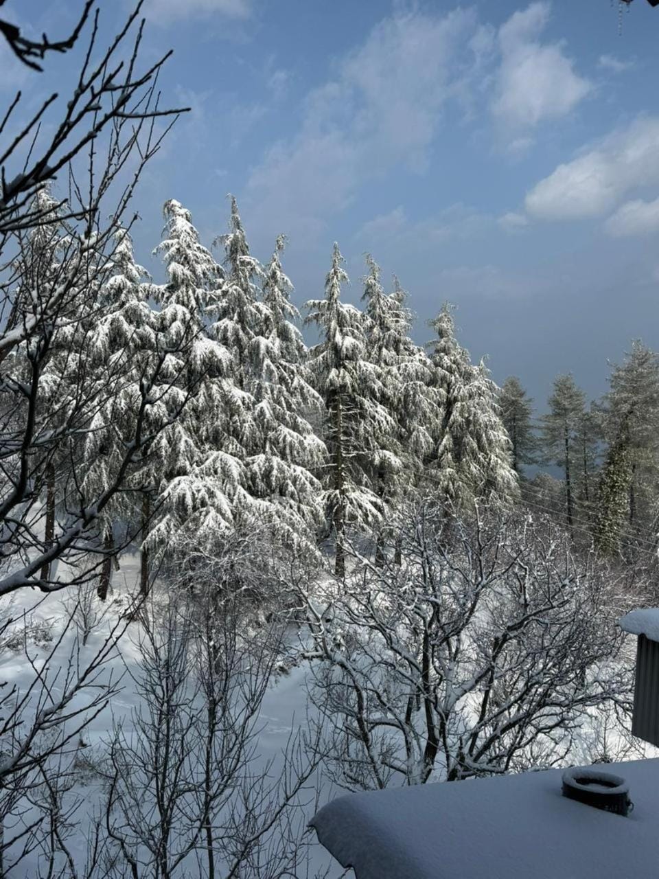 Winter