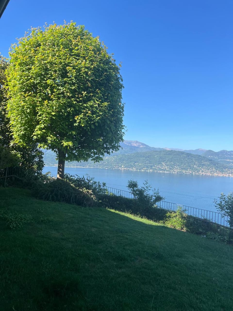 Patio, Garden, Garden view