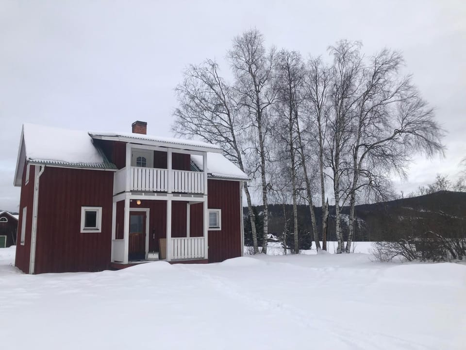Property building, Day, Natural landscape, Winter, Garden
