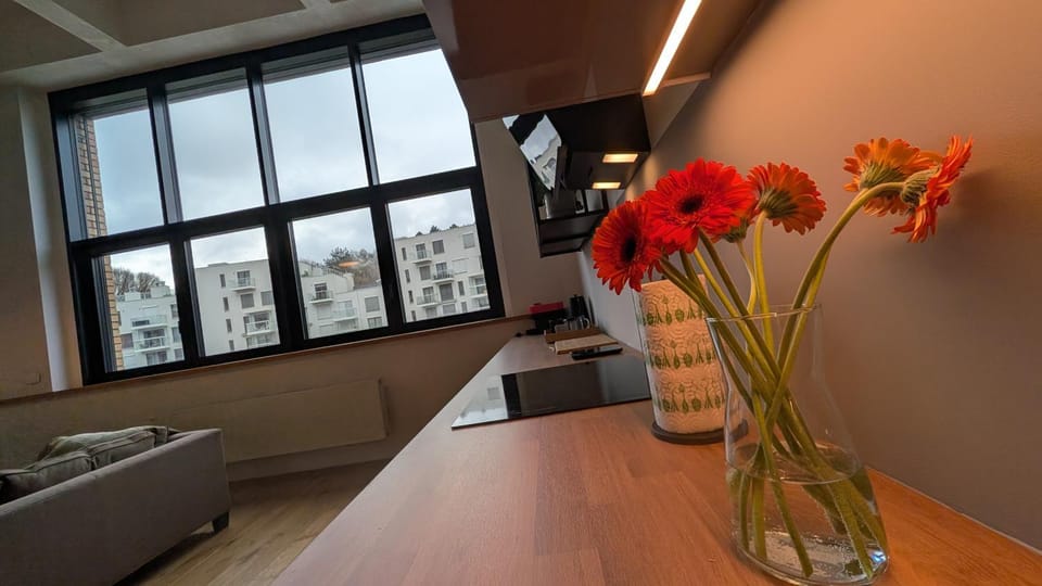 Loft Cibulka Apartment in Prague
