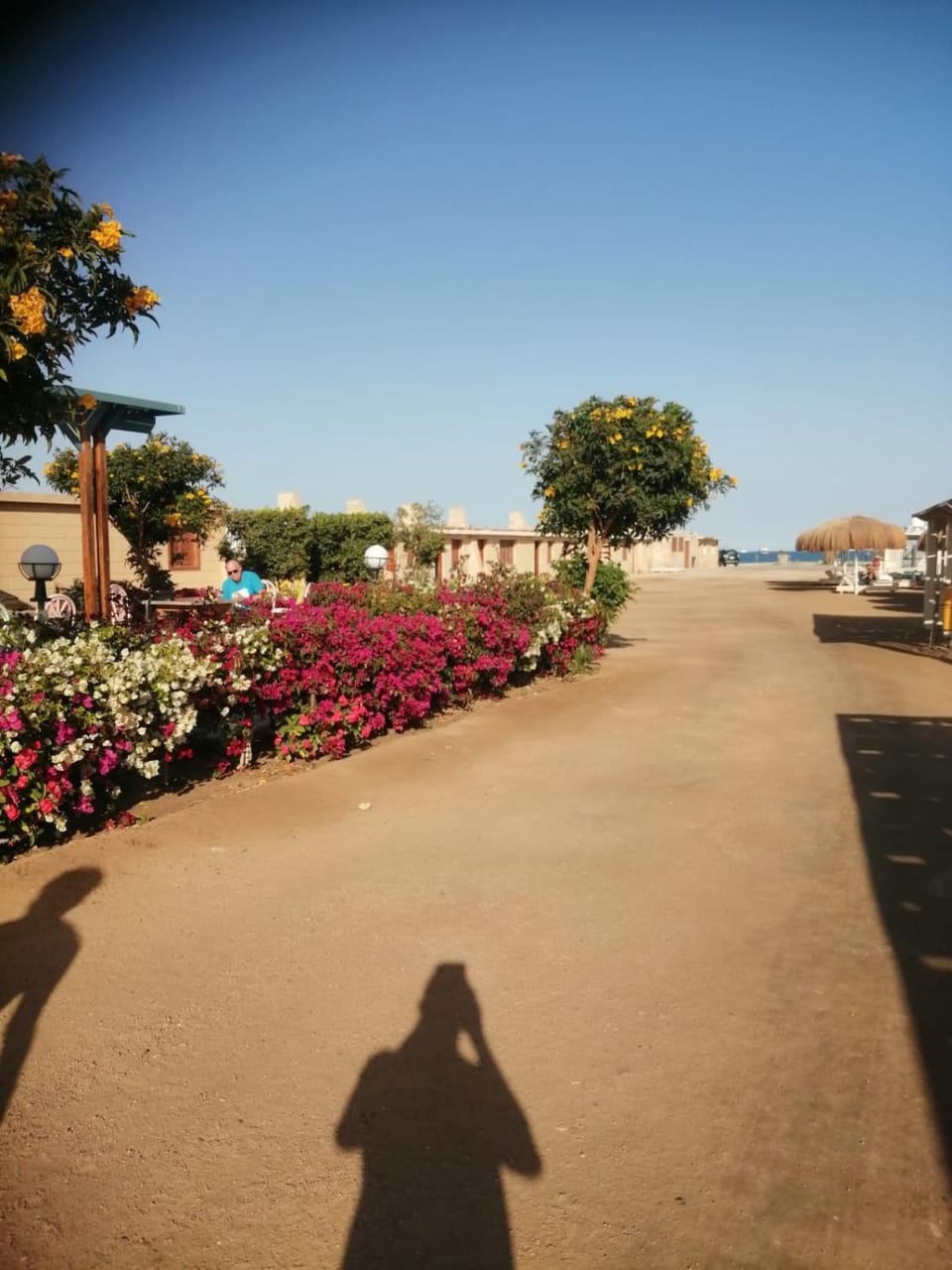 North side suites Egypt Hurghada Apartment hotel in Hurghada
