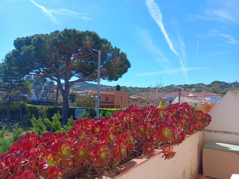 Balcony/Terrace, Balcony/Terrace