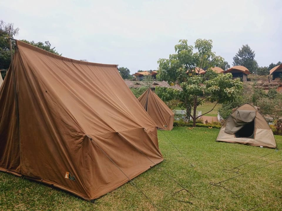 Mimosa Park and Island Camp Sagana Hotel in Kenya