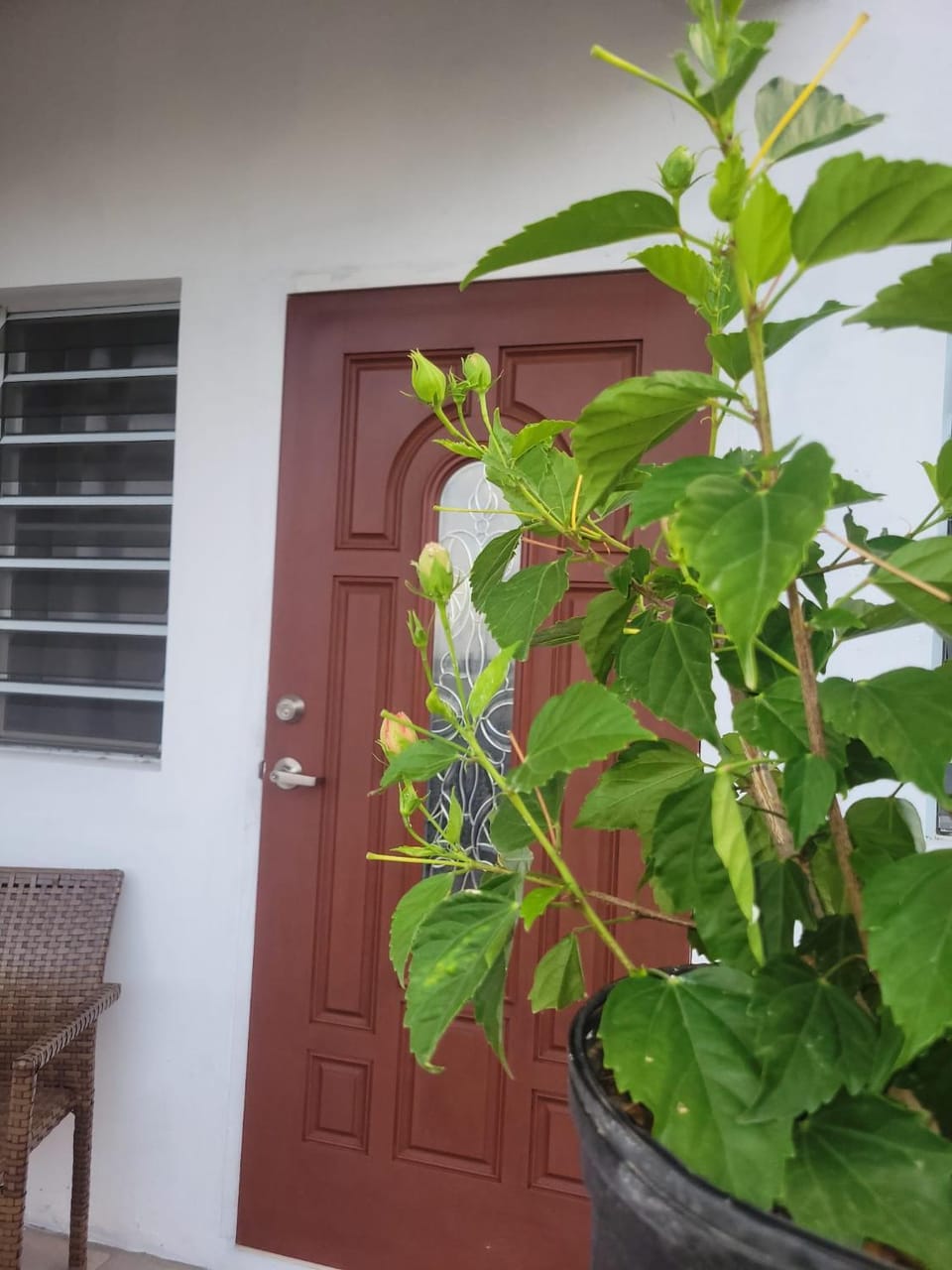 It's Time For A Getaway! Apartment in Leeward Islands