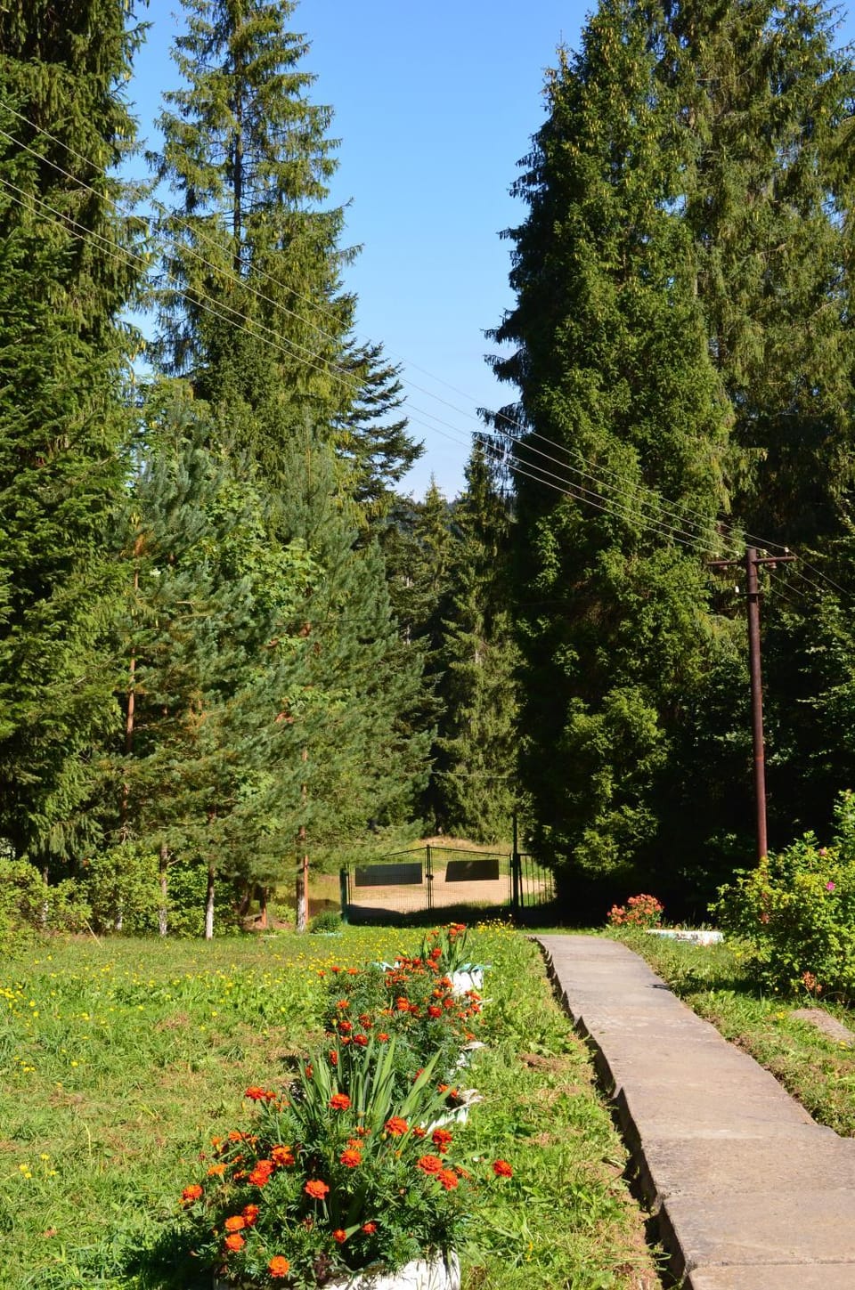 Ksenia pansionat Nature lodge in Lviv Oblast