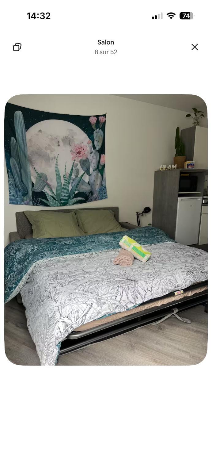 Joli petit nid douillet au calme Apartment in Pays de la Loire