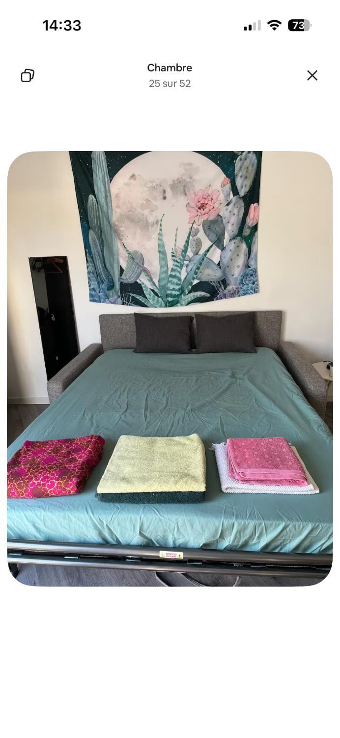 Joli petit nid douillet au calme Apartment in Pays de la Loire