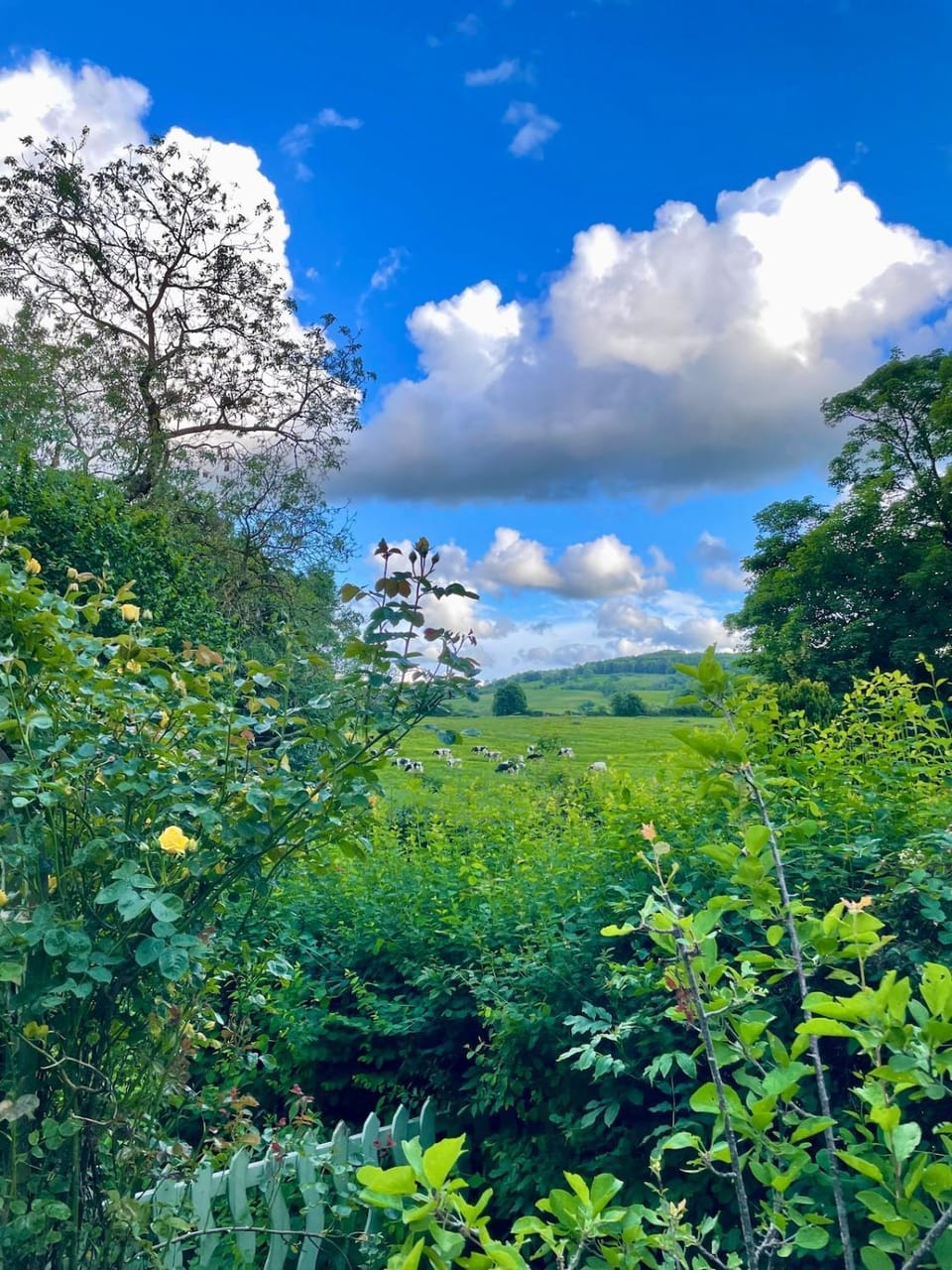 Greystones Cottage - 2-Bed Character Cottage, Access to Cotswold Way! House in Winchcombe