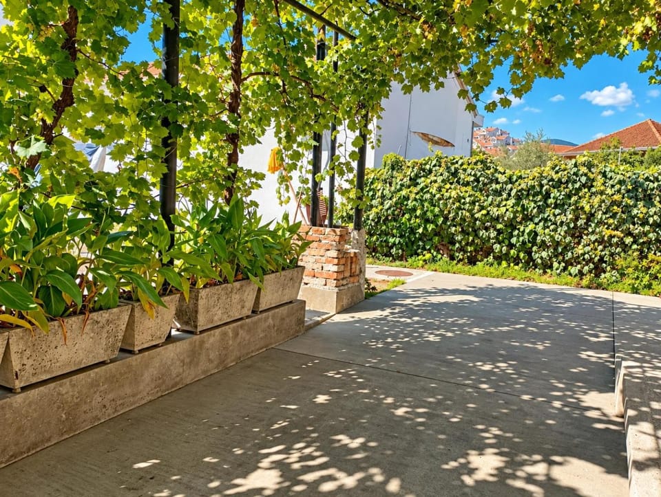 Neighbourhood, Garden, Garden view