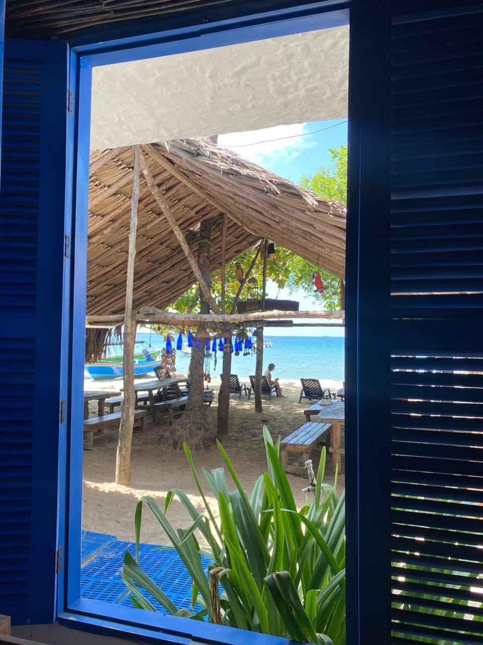 Casa Violeta Beach House Hostel in Rincón