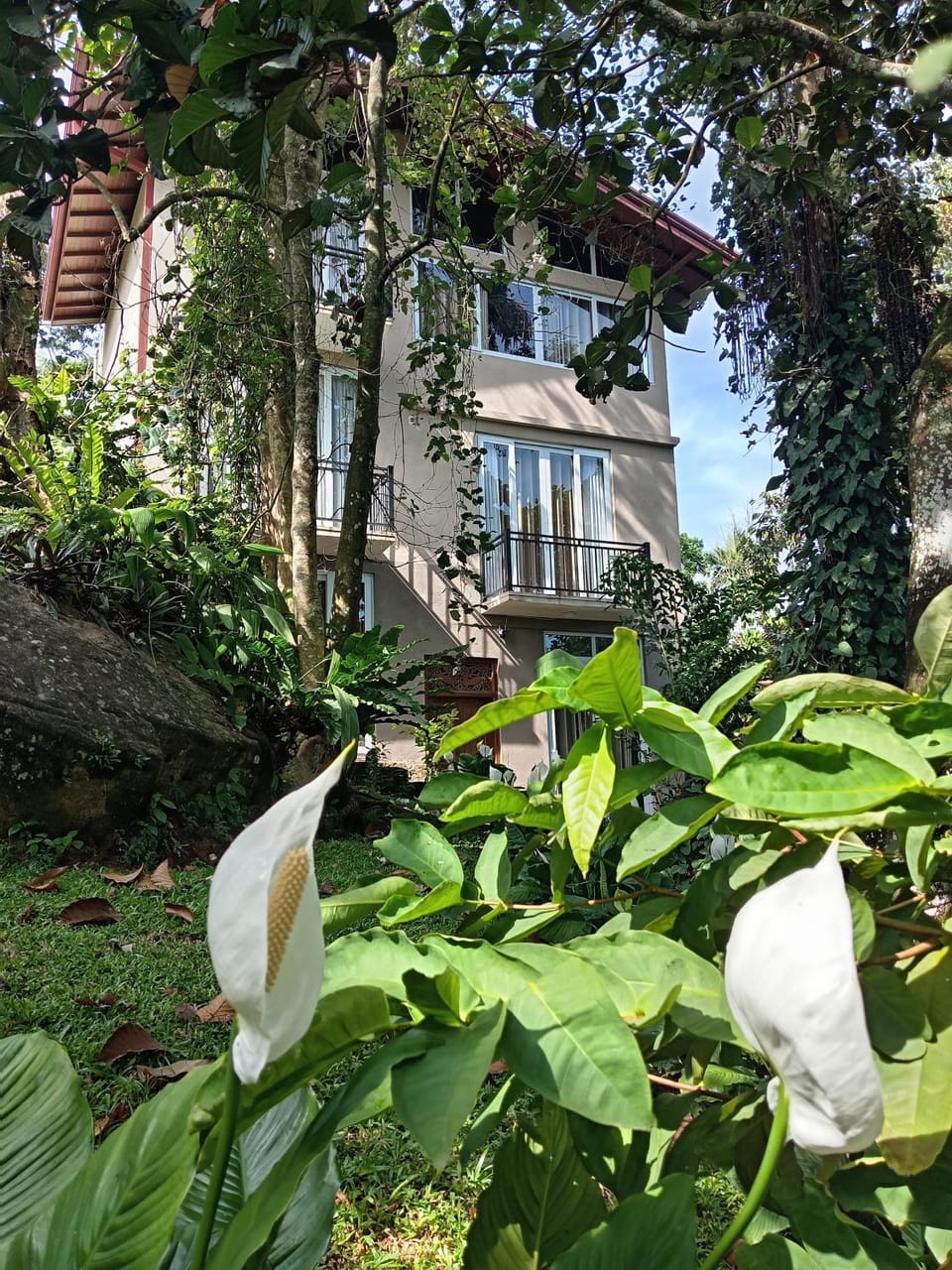 Misty Edge Hanthana House in Kandy