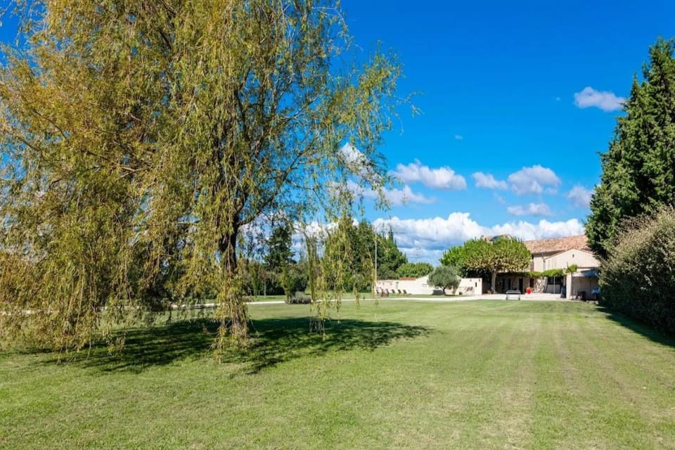 Spring, Natural landscape, Garden, Garden, Garden view