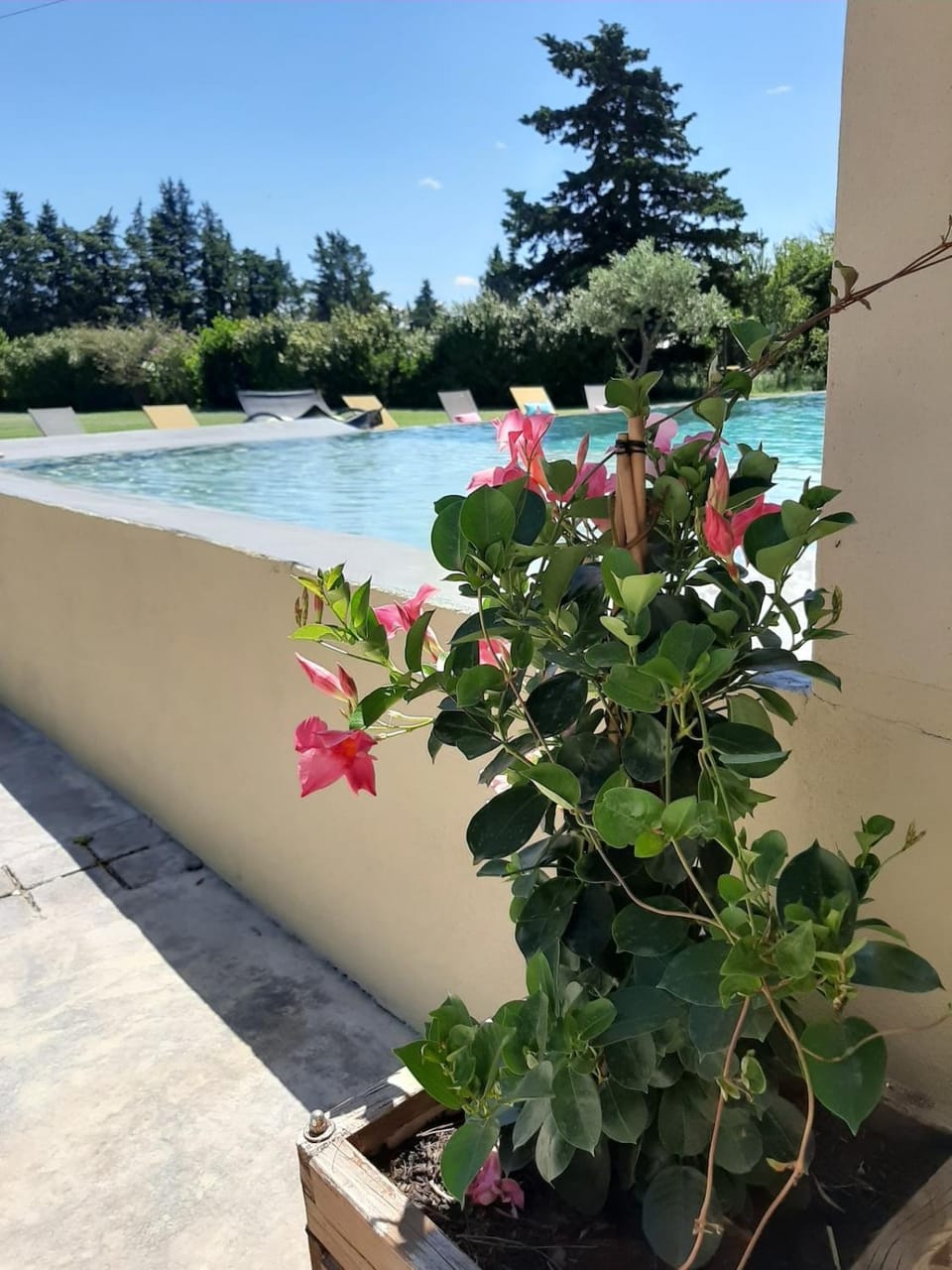 Pool view, Swimming pool, Swimming pool