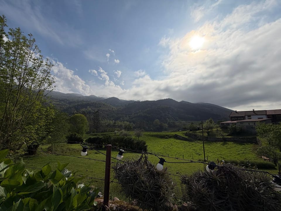 Natural landscape, Garden, Mountain view
