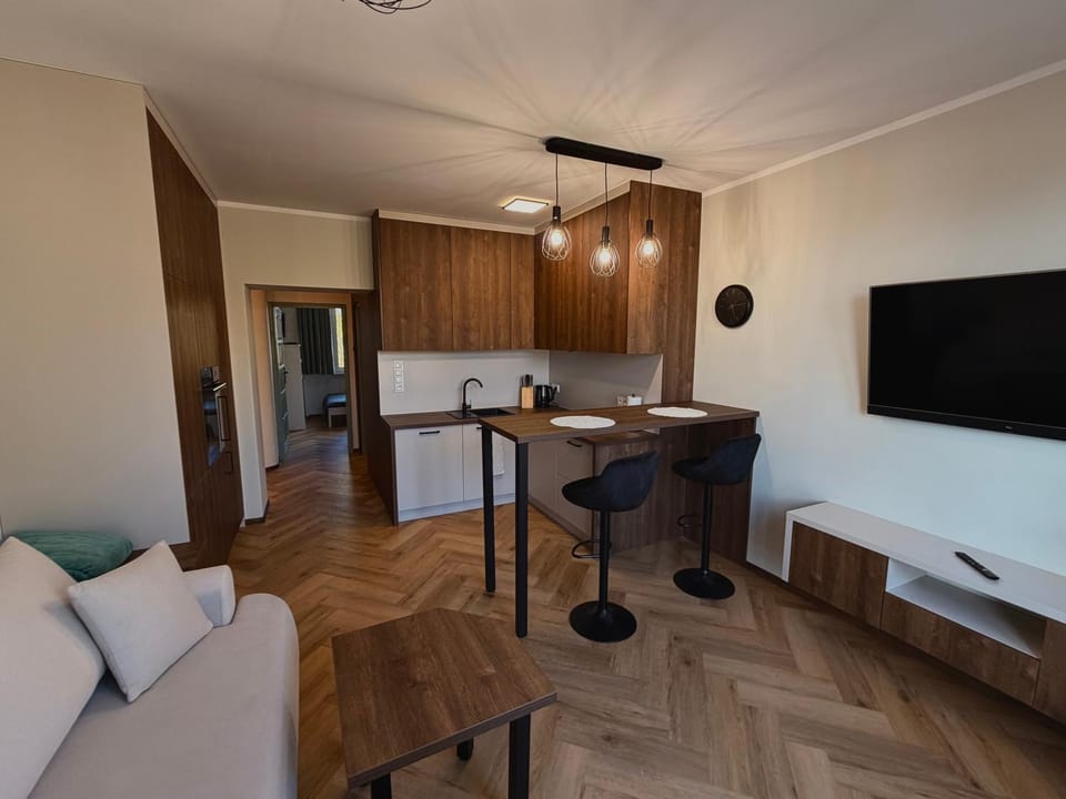 Kitchen or kitchenette, kitchen