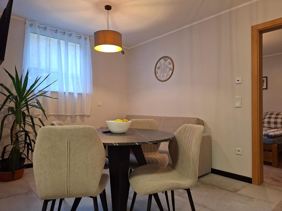 Economy Standard 2 - OpolskieNoclegi Apartment in Poland