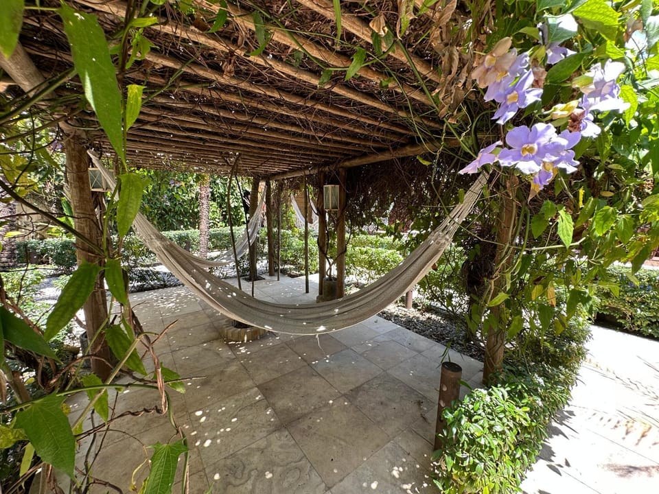 Day, Natural landscape, Garden, Garden view