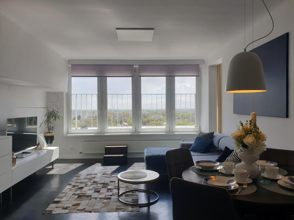 Bird's eye view, View (from property/room), Living room, City view
