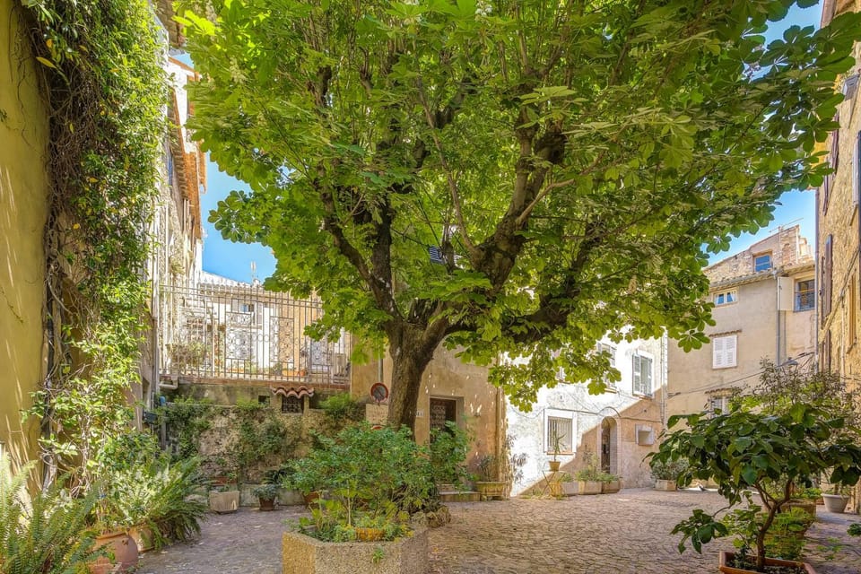 Neighbourhood, Street view