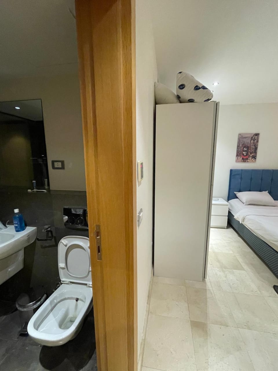 Toilet, Bed, Bathroom, Living room, Photo of the whole room, Bedroom, bidet, towels