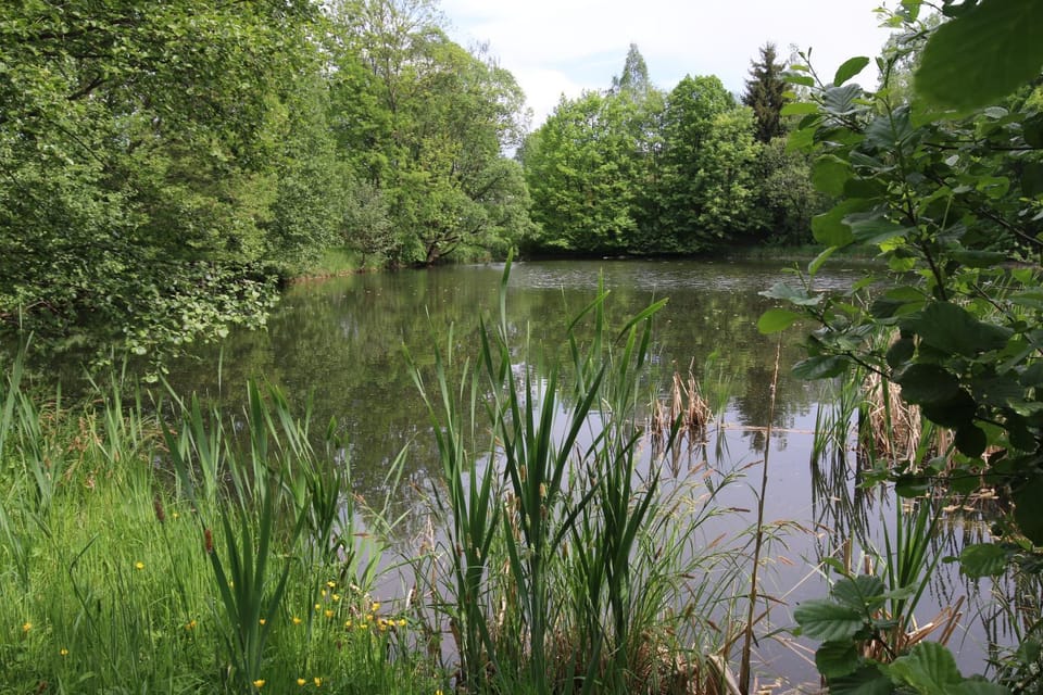 Garden view, Lake view, Lake view