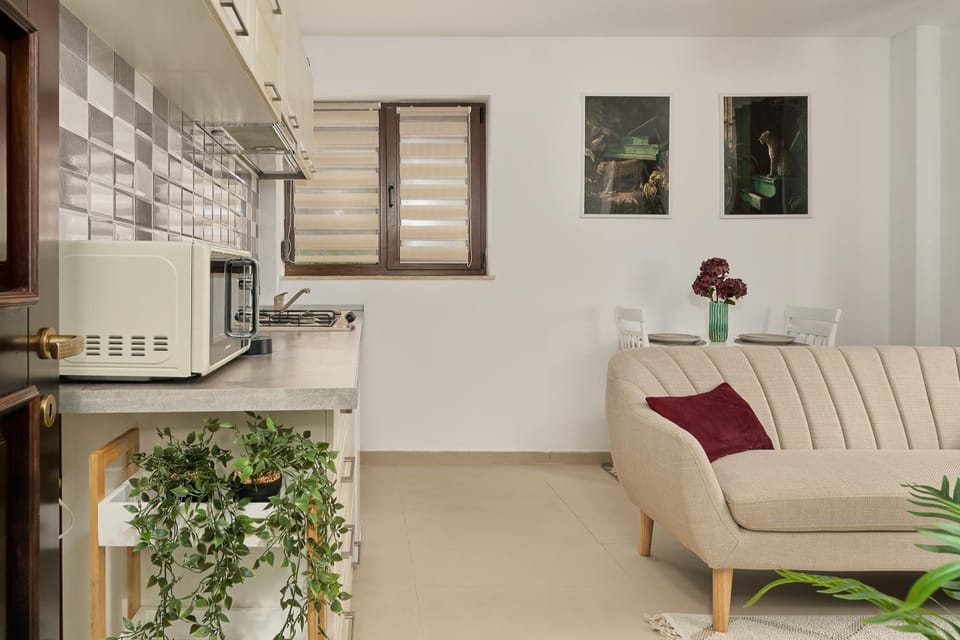 Velvet Jungle - Palas Campus by Seven Stone Apartment in Romania
