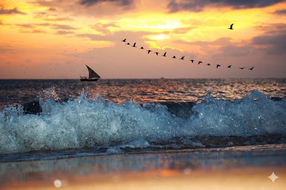 Animals, Pets, Sunset
