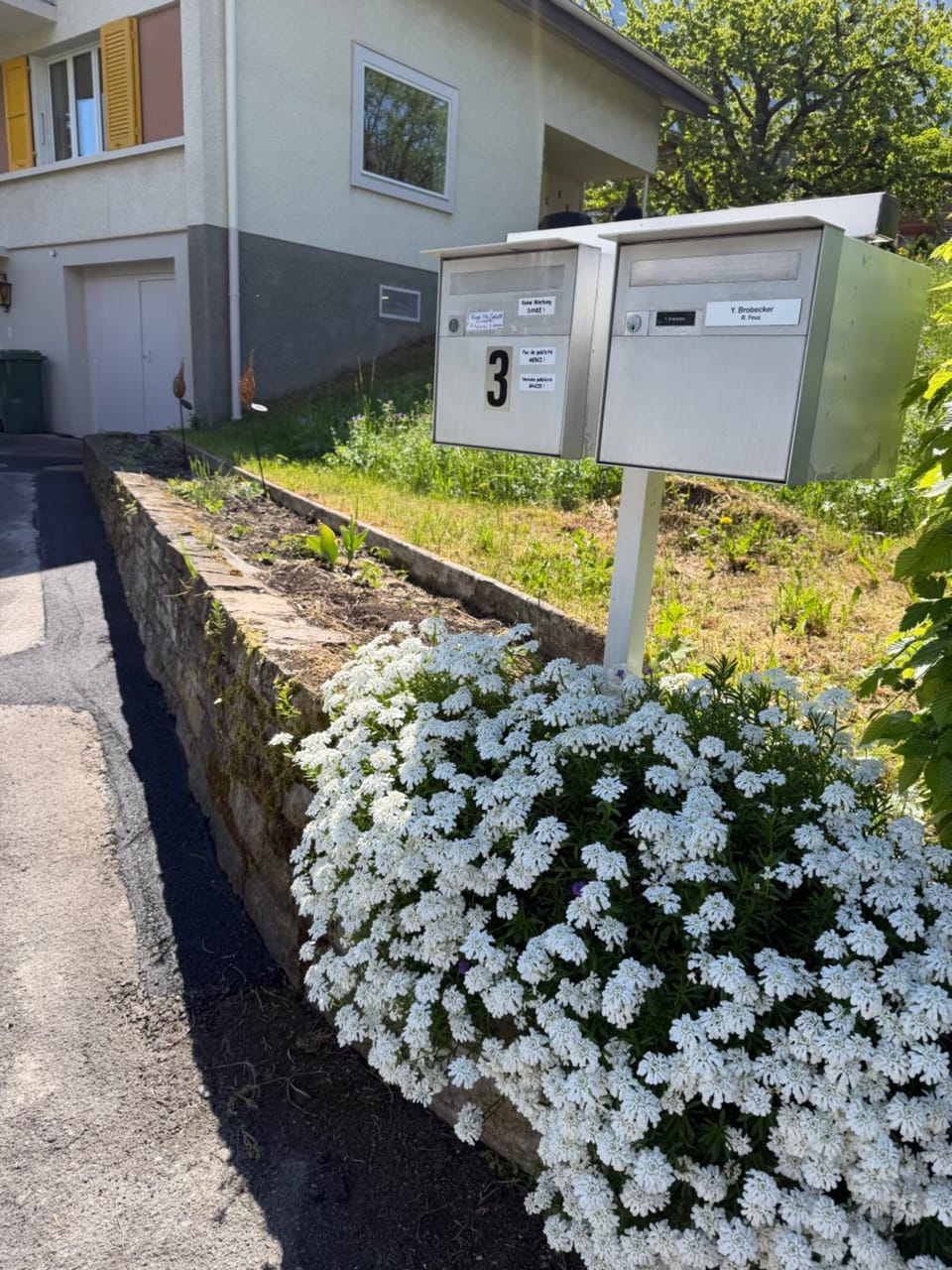 Property building, Garden view