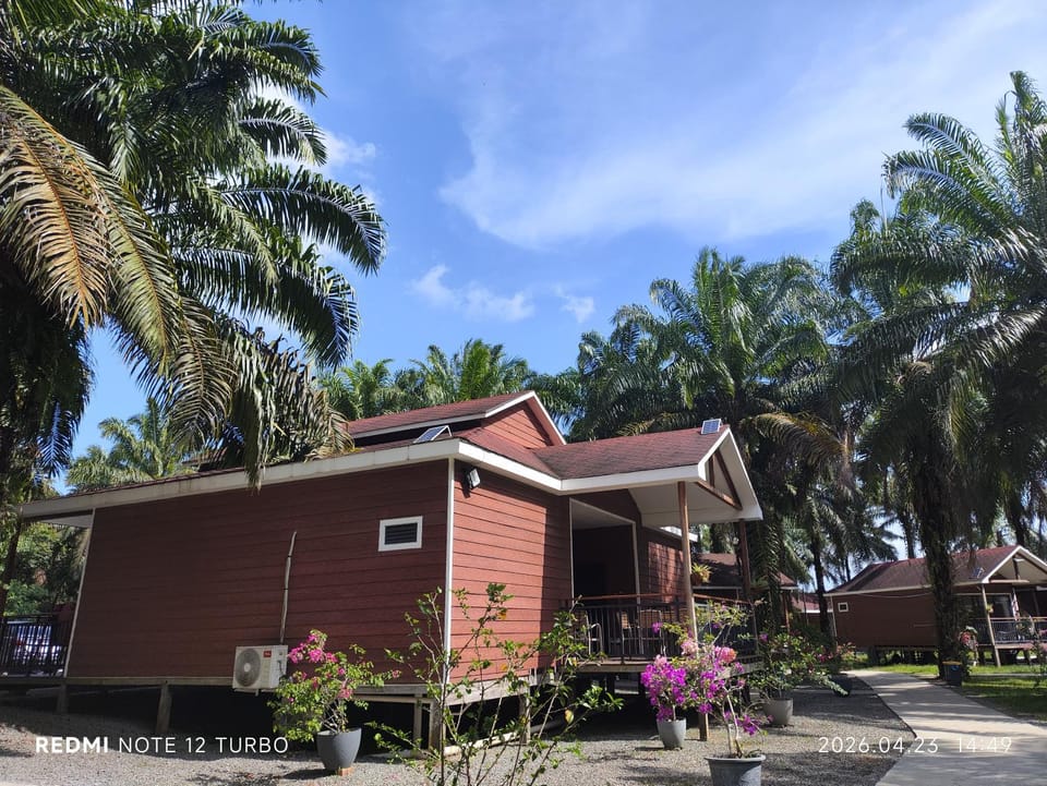 仙本那棕榈湖度假村Palm Lake Resort Resort in Sabah
