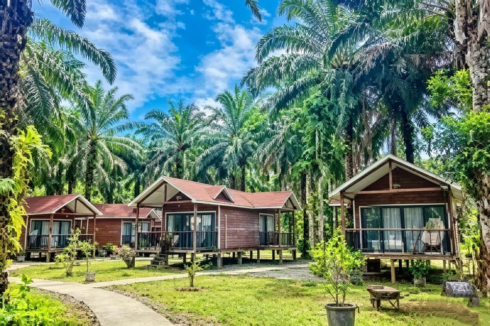 仙本那棕榈湖度假村Palm Lake Resort Resort in Sabah