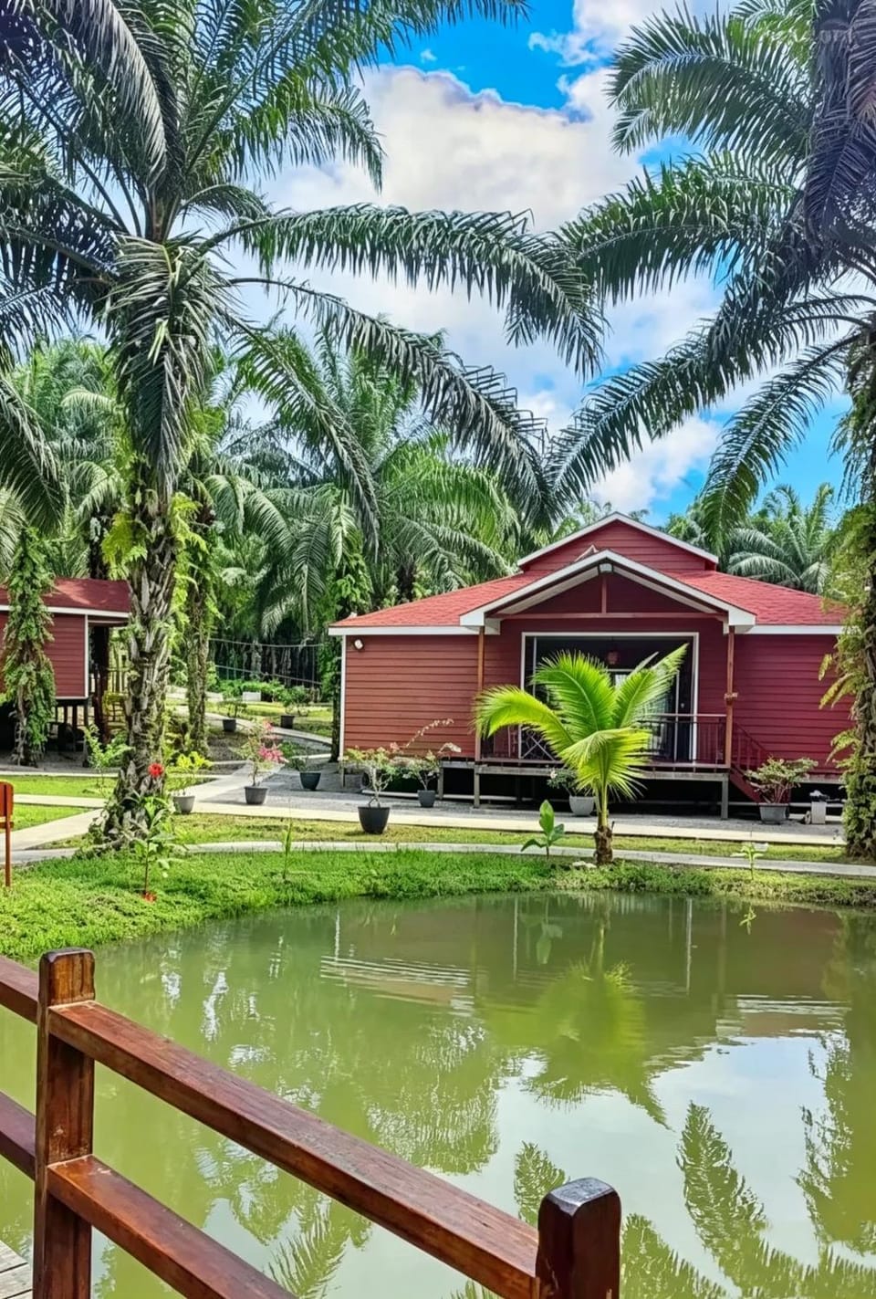 仙本那棕榈湖度假村Palm Lake Resort Resort in Sabah