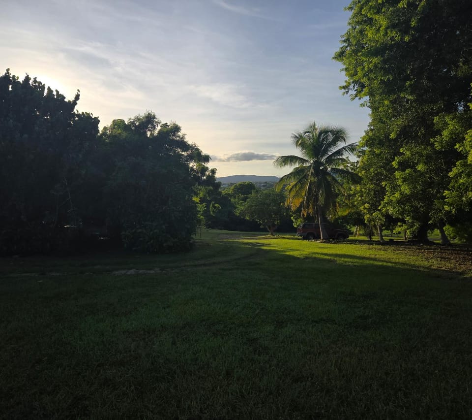 Starlit Jasmine Luxury tent in St. Croix