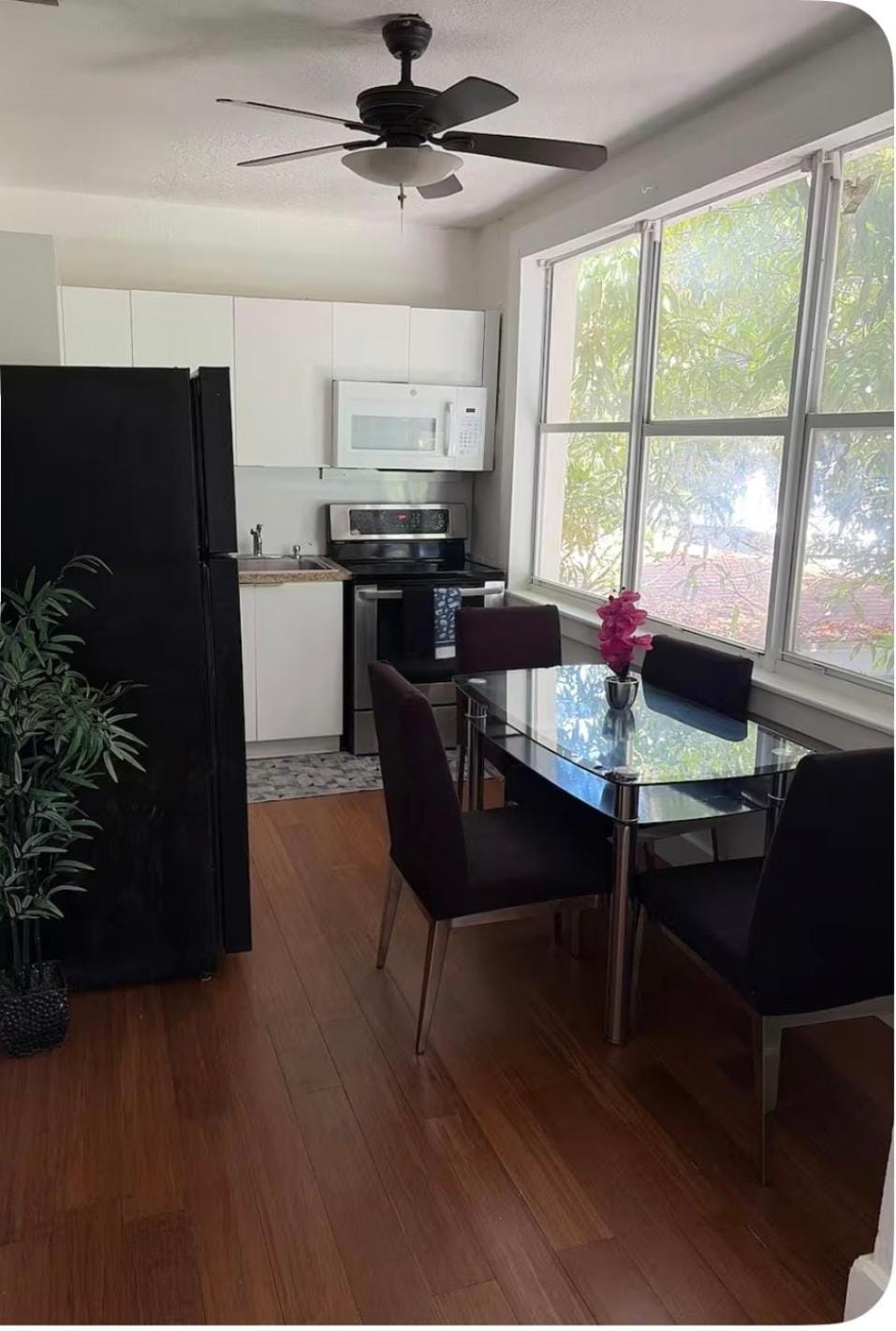 Havana tropical 8 Apartment in Coral Gables