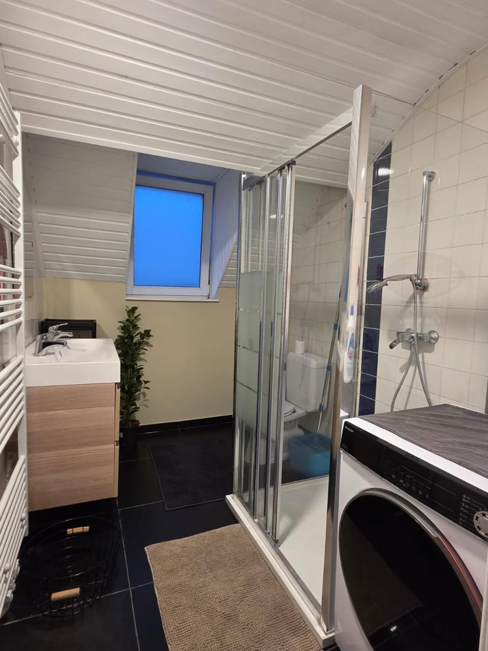 Peaceful Pad Bed and Breakfast in Ixelles