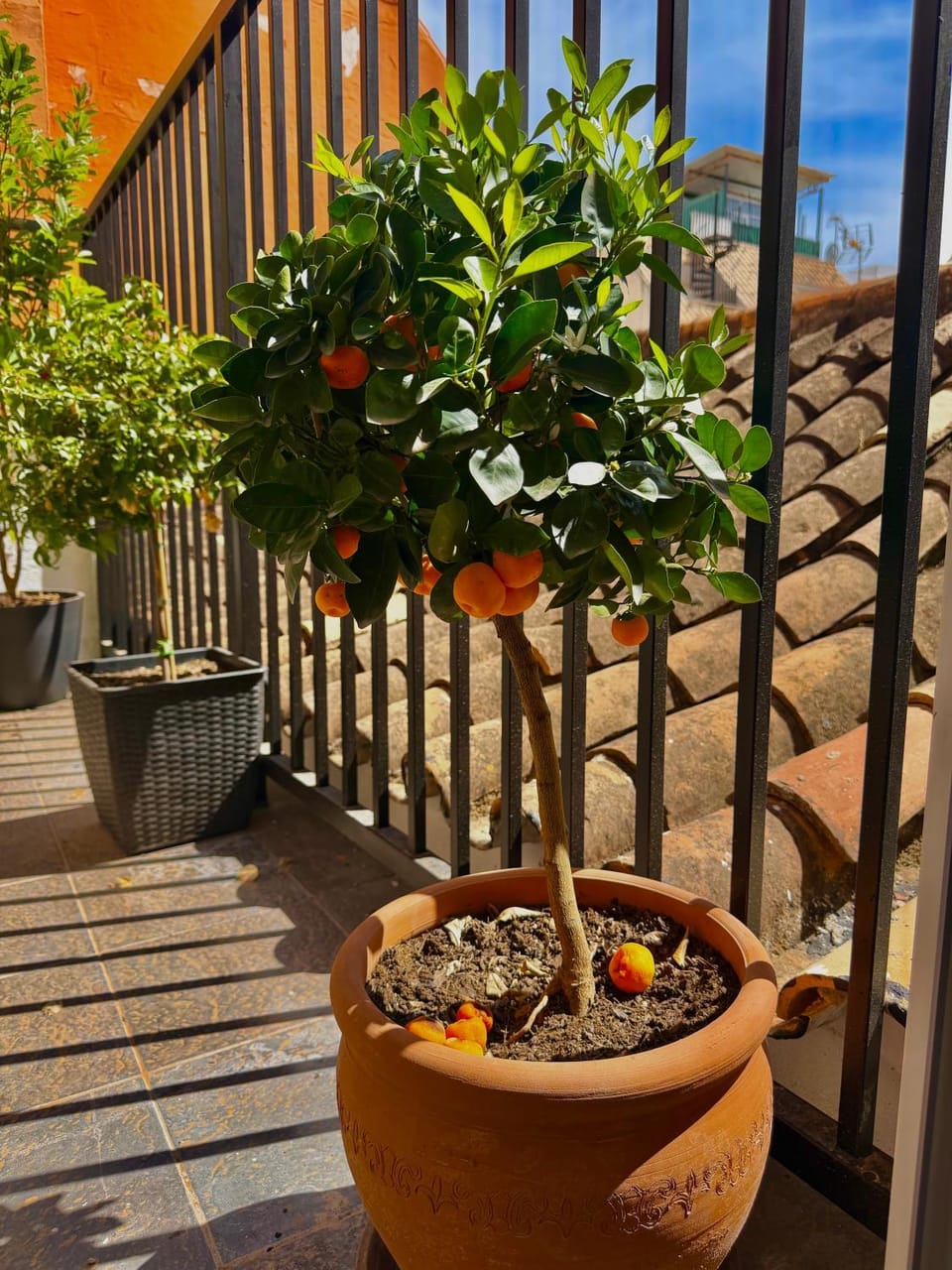 Casa Natali Bed and Breakfast in Fuengirola