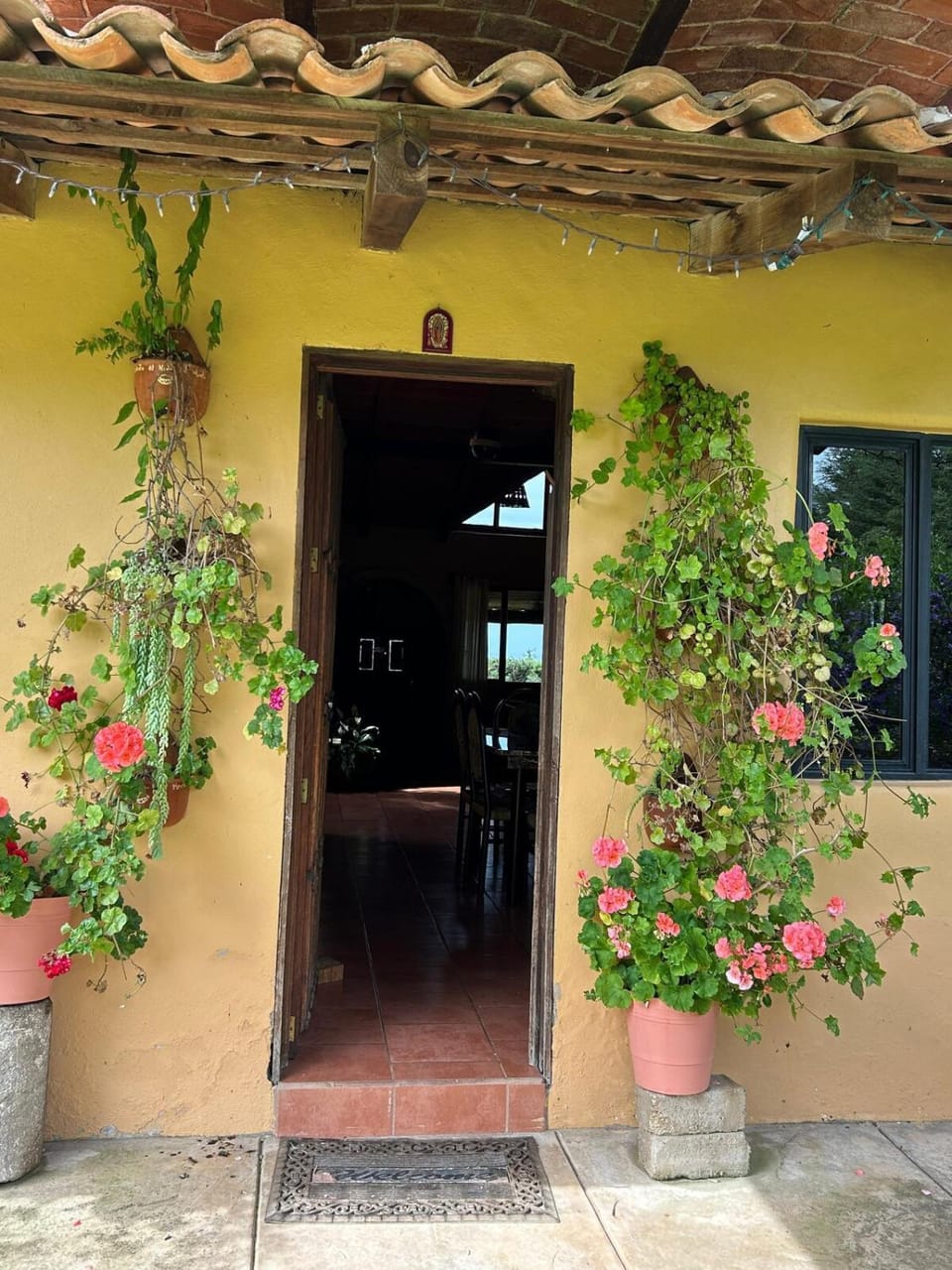 Cabaña el nido del monte Chalet in State of Michoacán
