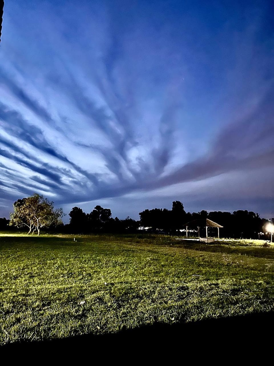 Night, Natural landscape, Garden