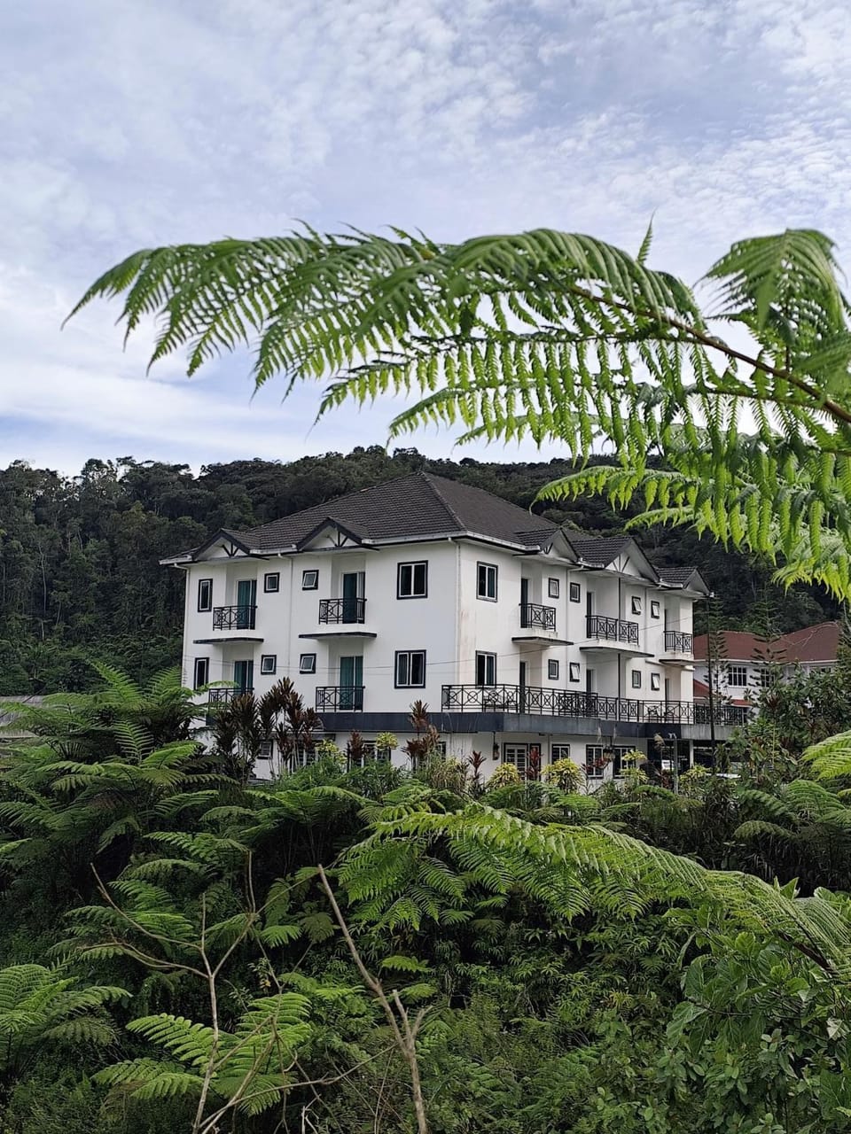 Natural landscape, Garden, Garden view